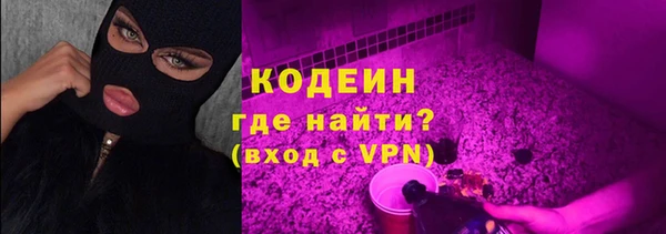 хмурый Ладушкин