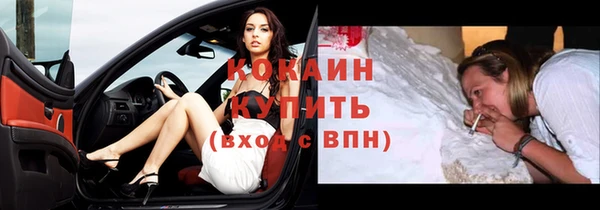 хмурый Ладушкин