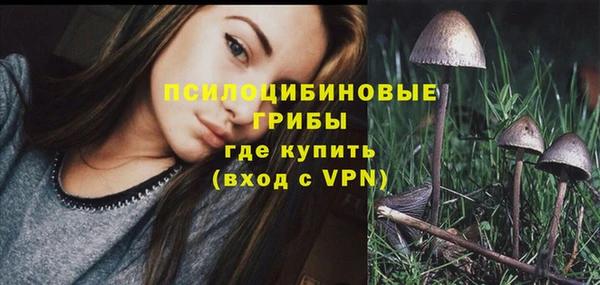 MDMA Лагань