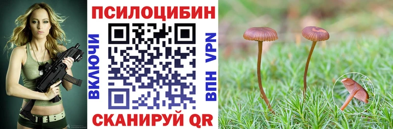 Галлюциногенные грибы Psilocybe  Сухой Лог 