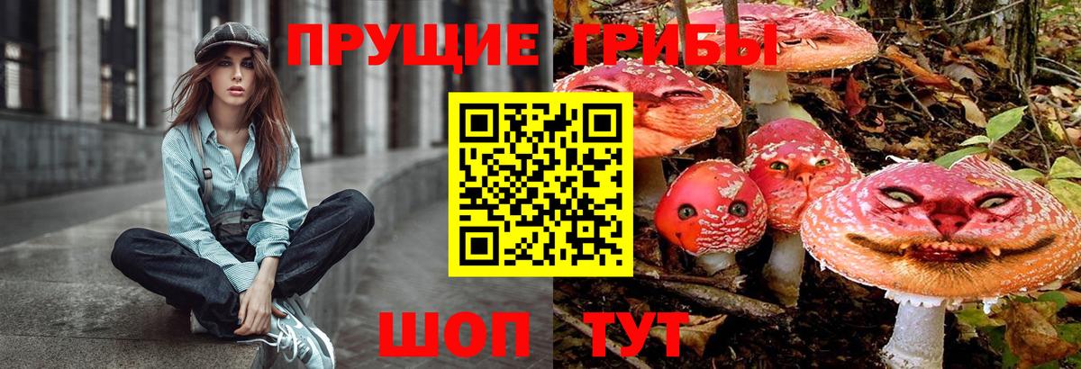 Псилоцибиновые грибы Psilocybe Сухой Лог